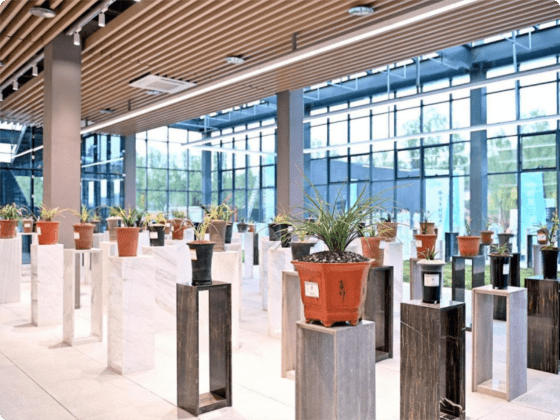 蕙兰展示中心内景